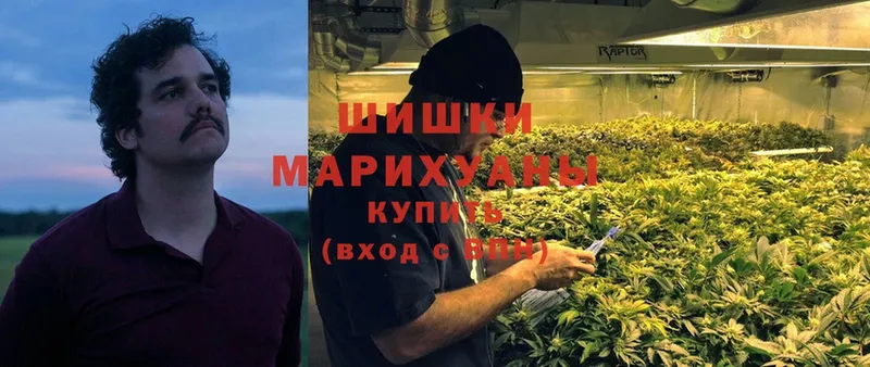 маркетплейс наркотические препараты  Оленегорск  Канабис LSD WEED 